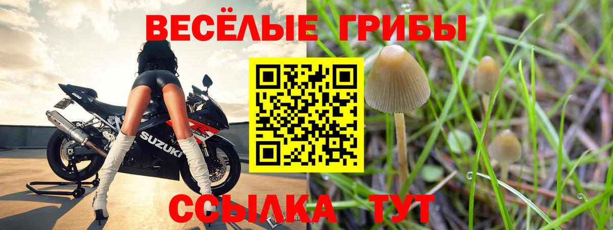 Псилоцибиновые грибы Magic Shrooms  Вход с VPN  Моздок 